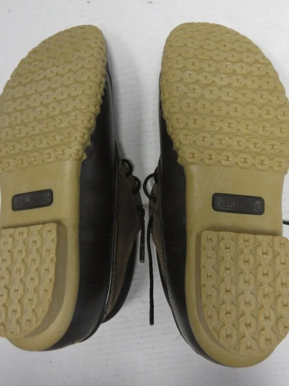 L.L. Bean brand bean